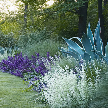 Cool Blues Garden Border