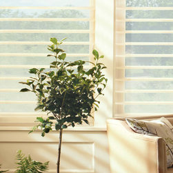 Hunter Douglas Silhouette&reg; - Window Blinds