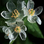 Sandra Gómez's photo