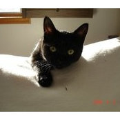 Isabelle Delage's photo
