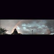 Jillian Wolstein's photo