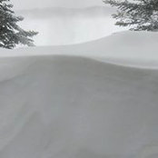 Monique Provencher's photo