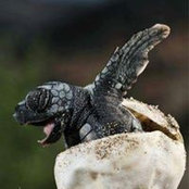 Joseph Avellino's photo