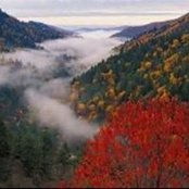 Michelle Goddard's photo