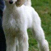 Jody Gardner's photo