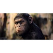 Dmitry Yoffe's photo