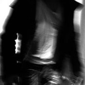 Nikola Antonic's photo