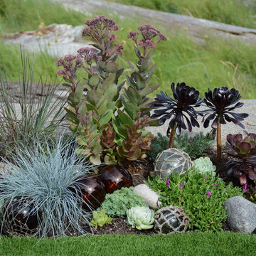 Contemporary Seaside Garden