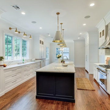 Blue Island with Mixed Metal Kitchen & Campaign Vanity Bath