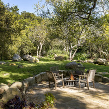 yard / landscape