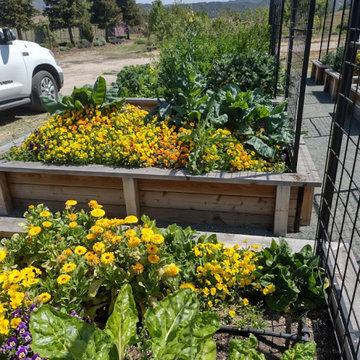 Raised Beds & Containers