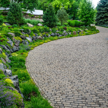 Back Yard Gardens