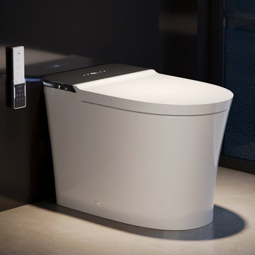 Smart Toilets