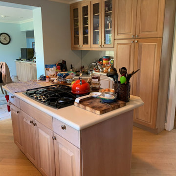 Villanova Kitchen Update