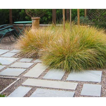 Natural Designs
