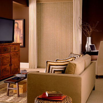 Living Room Ideas