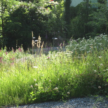 Böschung mit Wiese