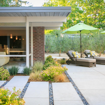 Eichler 2