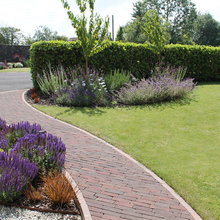 33 Crossway - Front Garden