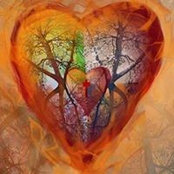 Susan Kerecman's photo