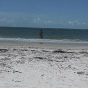 Brandi Haman's photo