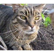 Sheila Barker's photo