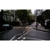 Andrew Choi's photo