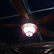 Julie Coulter's photo