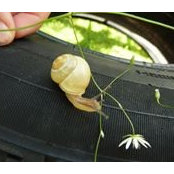 Sabine Zepf's photo