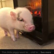 Kim Johnson's photo