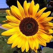 Julie Hess's photo