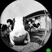 Valerio Effe's photo