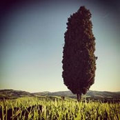 Susana Arce's photo