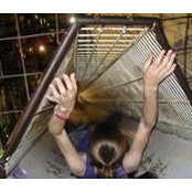 Lauren Tidd's photo
