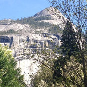 Shal Williams's photo