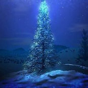Diana Tarr's photo