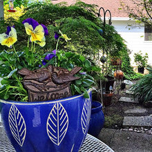 Garden ideas worth the effort