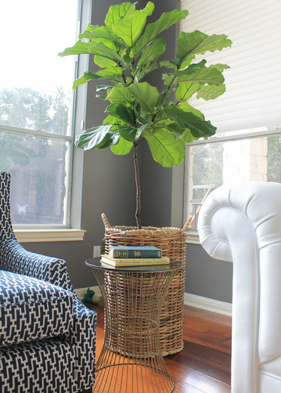 Contemporary by Dana Frieling Interiors