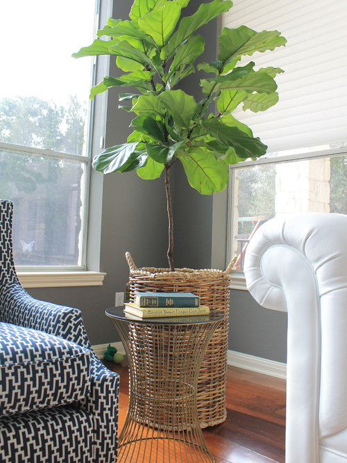 Fake Fiddle Leaf Fig Tree Ideas, Pictures, Remodel and Decor - SaveEmail