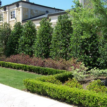 landscape/pool ideas