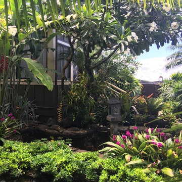 Kauai Landscapes