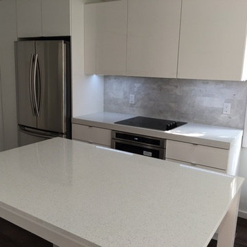 Modern Kitchen Remodel