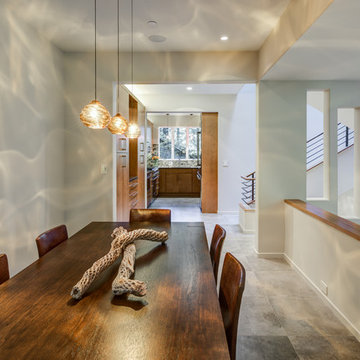Mill Valley Redwood Conteporary