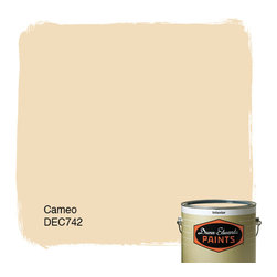 Dunn-Edwards Paints Cameo DEC742 - Paint