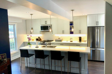 Trendy kitchen photo in Toronto