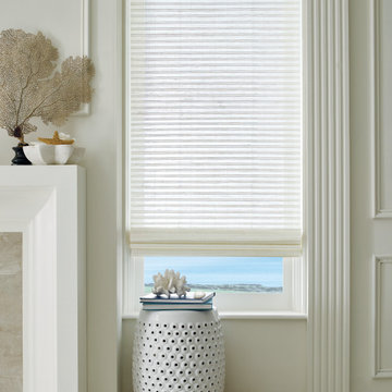 Window Shades