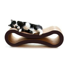 cat shelf