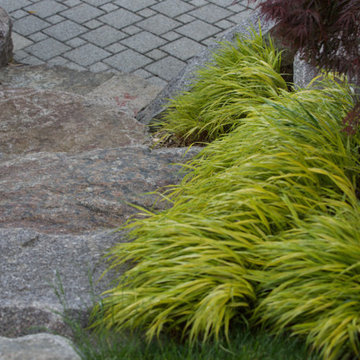 Jardin Japonais