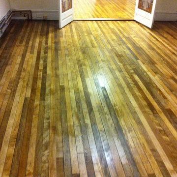 Stained Maple