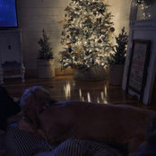 kaylabordelonpn's photo